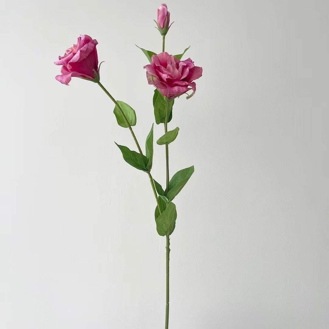 Lisianthus