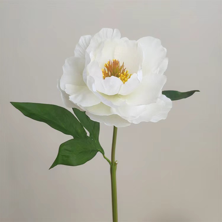Peony