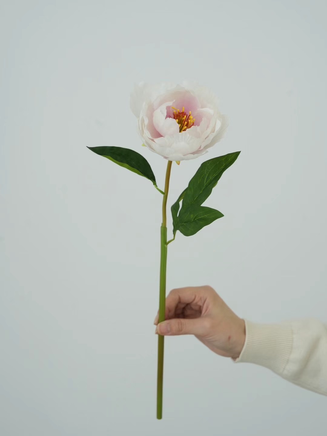 Peony