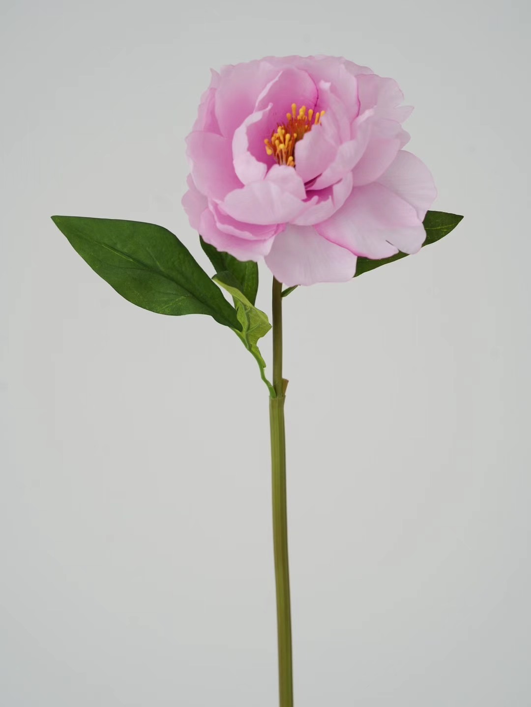 Peony