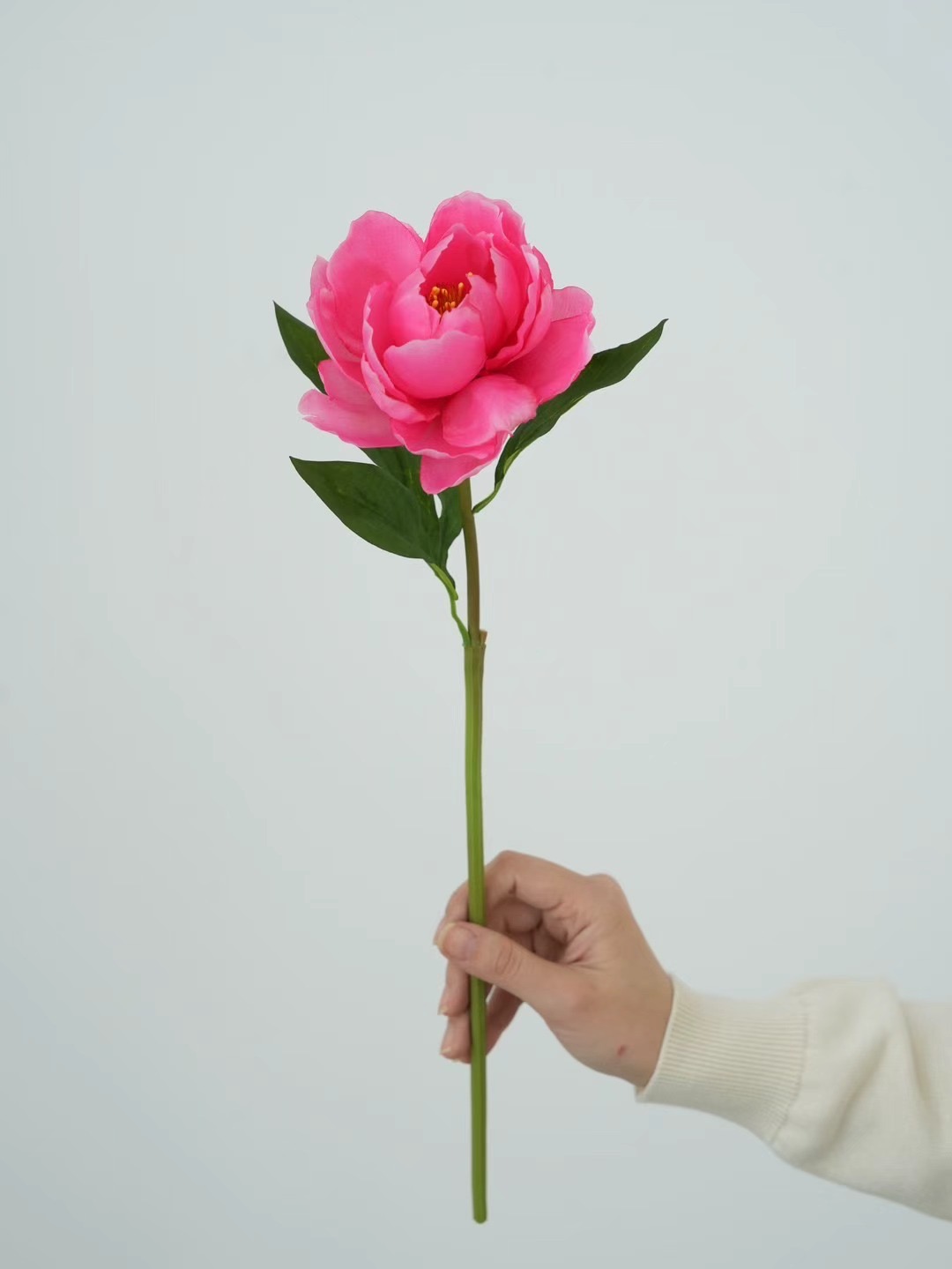 Peony