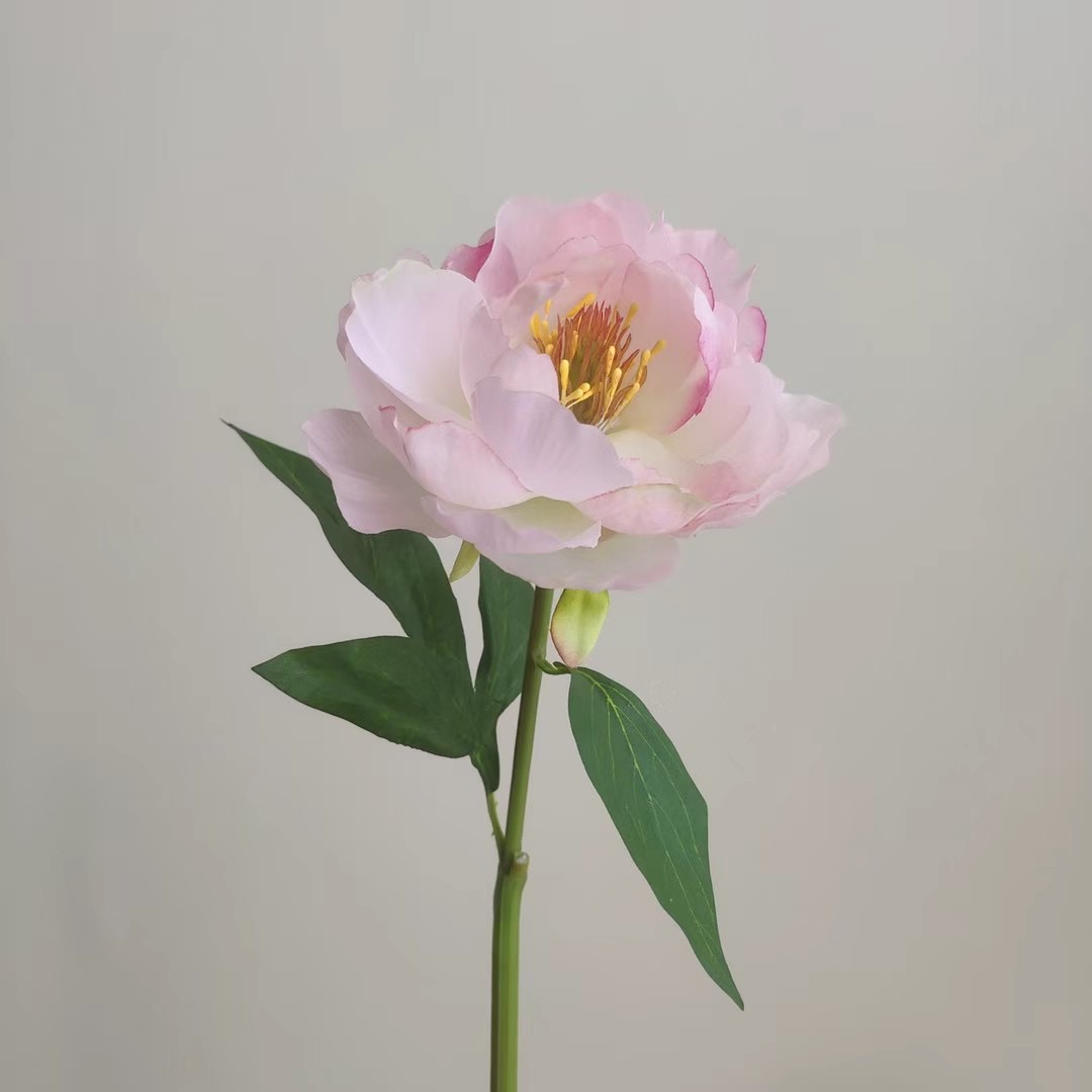 Peony