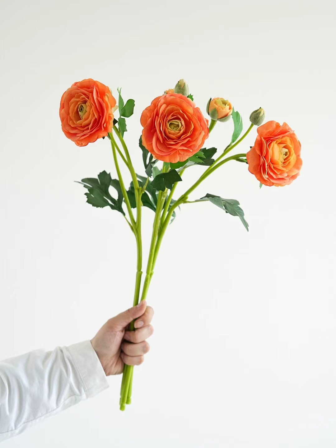ranunculus