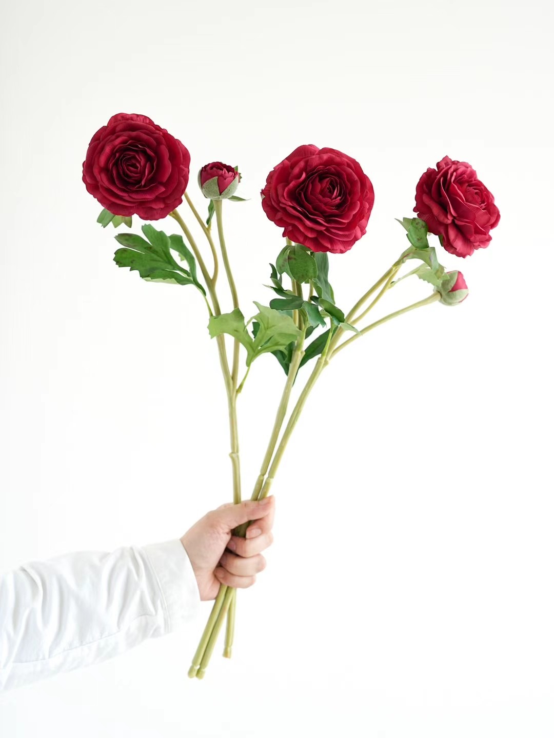 ranunculus