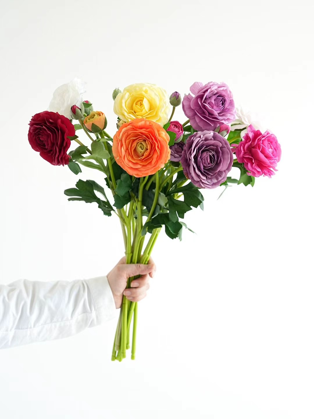 ranunculus